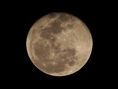 New Year Moon: 1/1/2010