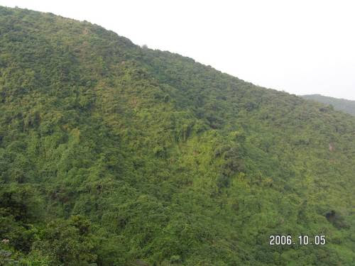 塘朗山公园