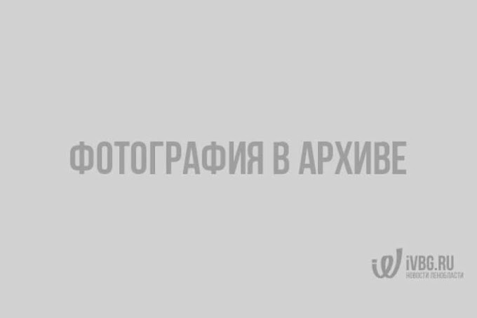 В полтора раза вырос спрос на потребительские кредиты Сбербанка в СЗФО