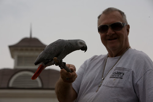The Parrot Man