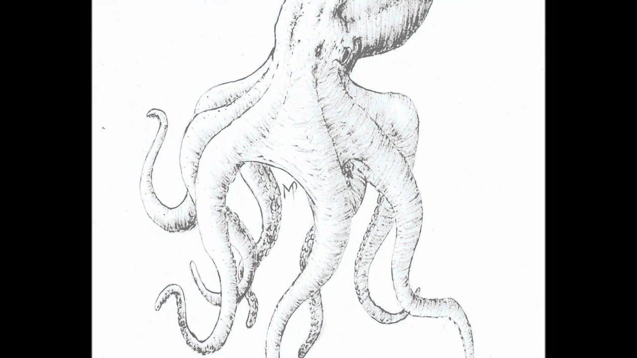0 drawing Kraken Request YouTube Drawing 0 drawing Kraken Request YouTube Drawing