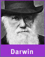 darwin