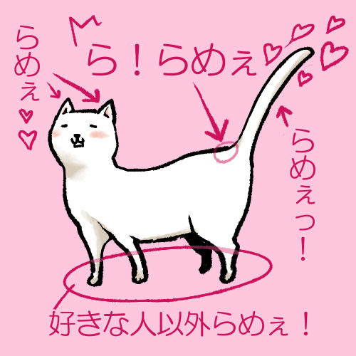朝から吹いたw 触るとネコが喜ぶ場所 喜ばない場所 Bom B