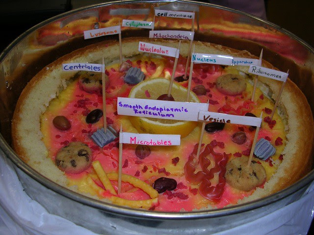 Edible Cell Project. As a Grade 11 biology project, I had my class create 