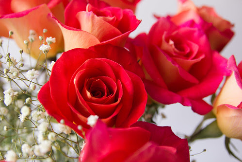 Valentine's Greeting