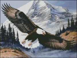 Soaring Bald Eagle Soaring Bald Eagle Birds 4 00 Stitch A Painting Pdf Cross Stitch Patterns
