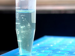 DNA