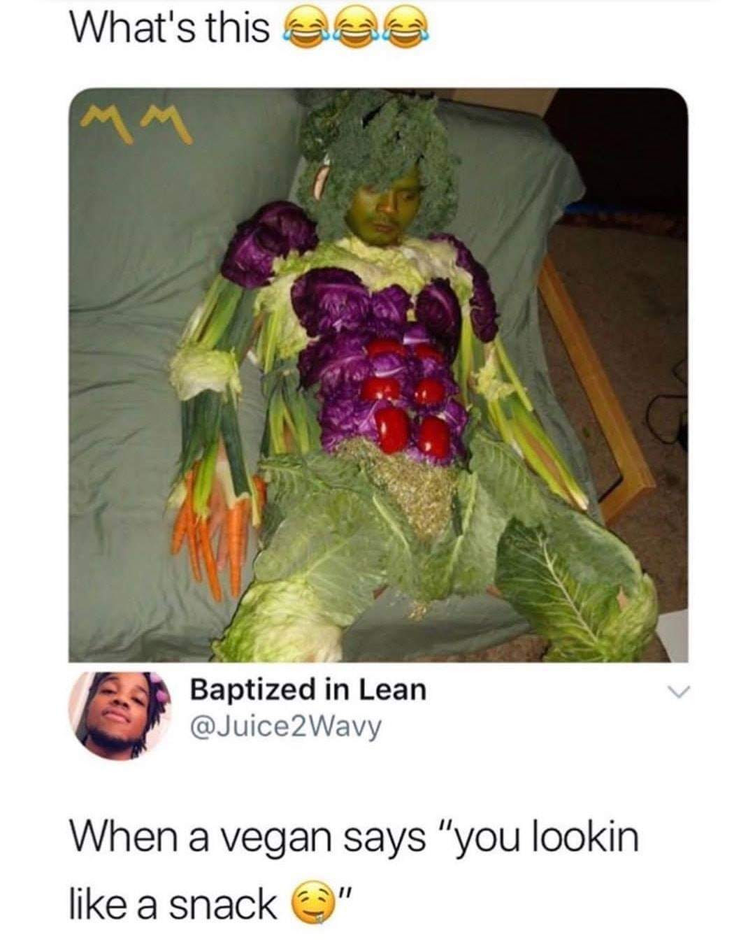 Vegan Saying You Look Like A Snack Meme By Ahadsy5 Memedroid