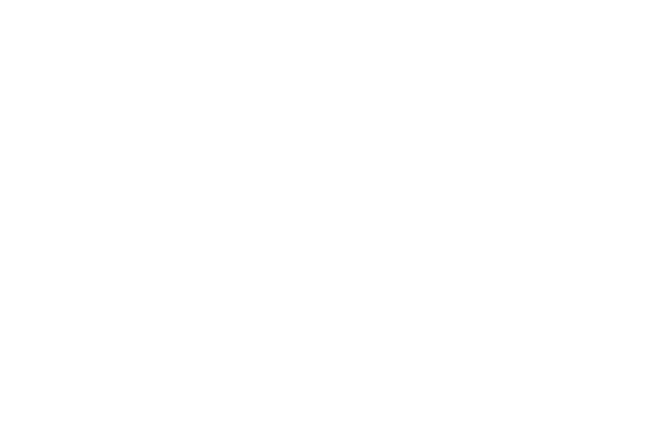 レースハート レース素材専門サイト Da Lace ダ レース