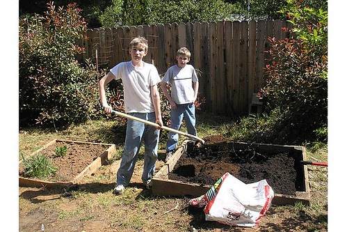 garden box beginnings