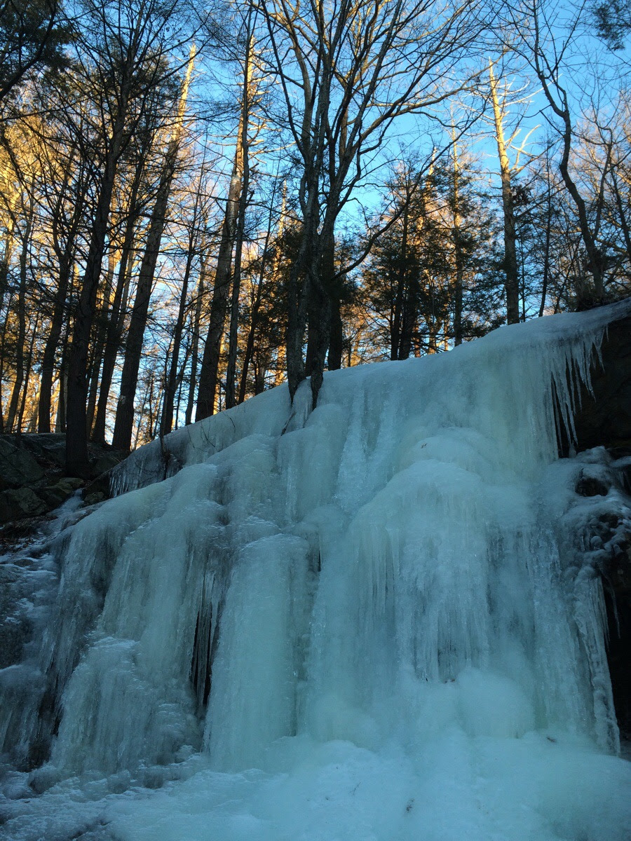 Nature Blog