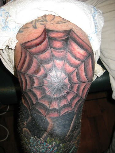 Spider web #1