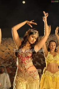 Ileana Spicy Photo Gallery