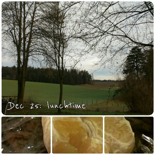 Dec 25: lunchtime .. a peeled orange on the way home .. #fmsphotoaday