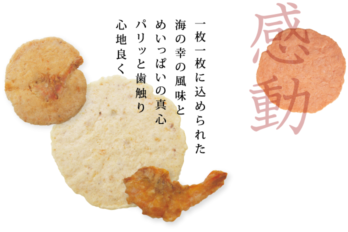 えびせんべいの里 商品案内