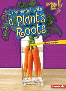 Experiment With A Plant S Roots Granite Media