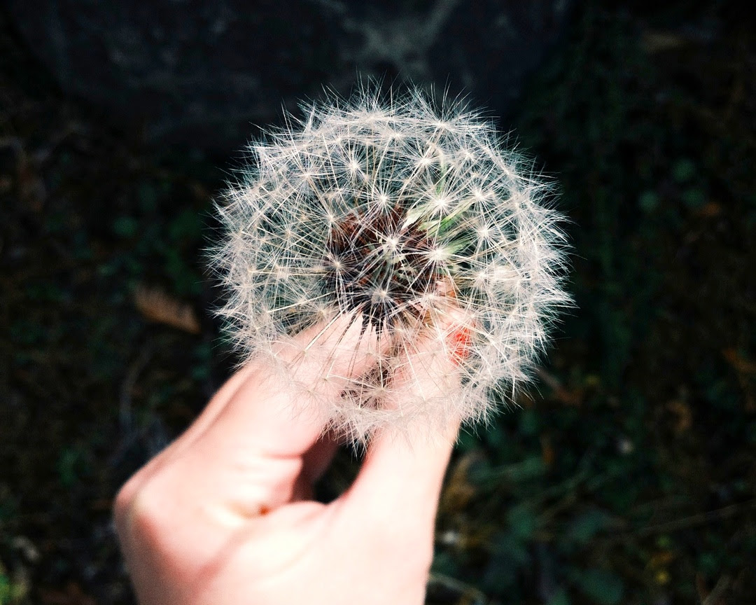 Les Citations Inspirantes De Coaching Go Le Blog De Coaching Go