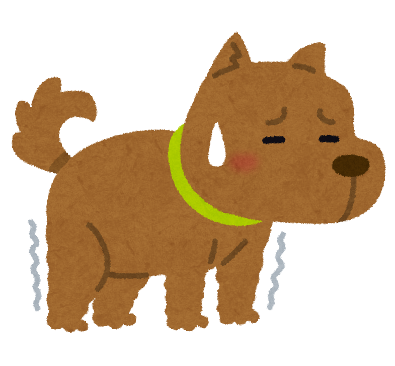 うちの犬は大丈夫 愛犬の運動不足が引き起こす5つの危険