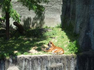 動物園デート 天王寺動物園 Little Trees Plus