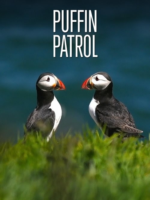 Puffin Patrol Streaming VF Complet 2015 En Ligne .FR Français