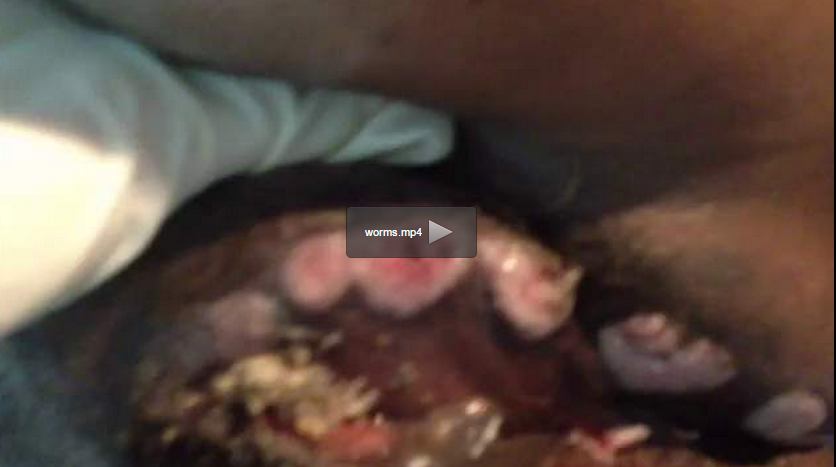 Image result for abuja big girls