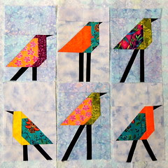 6 Bird Blocks on the Design Wall