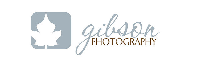logo-flickr1