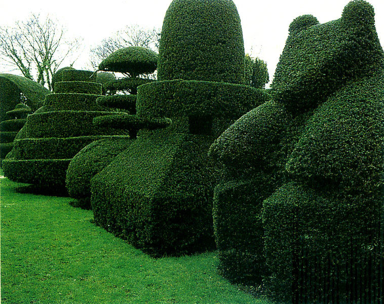933 New topiary garden history 335 Description Beckley Park topiary garden.jpg 