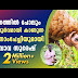 വനത്തിൽ പോലും അപൂർവമായി കാണുന്ന ഈനാംപേച്ചിയുമായി -Vava Suresh