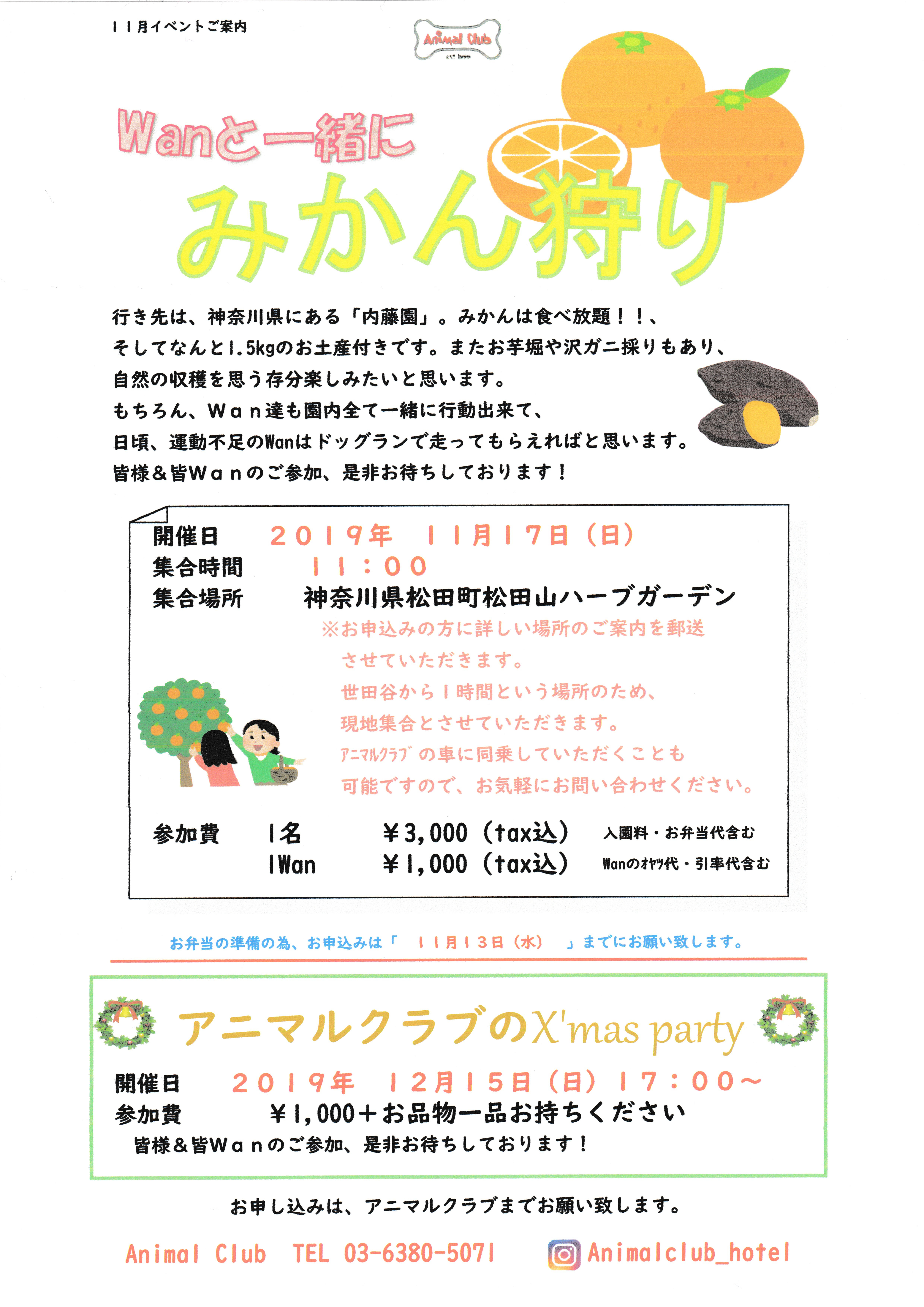 11月イベントのご案内 Wanwan
