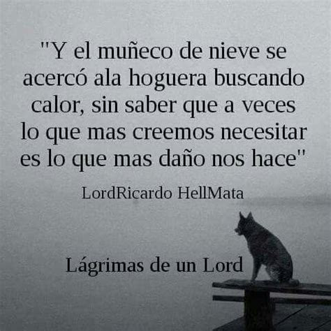 mas de  bellas frases sabias de la vida cortas nocturnar