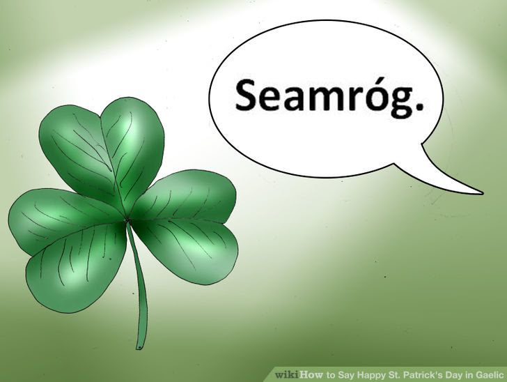 Say Happy St. Patrick's Day in Gaelic Step 12.jpeg