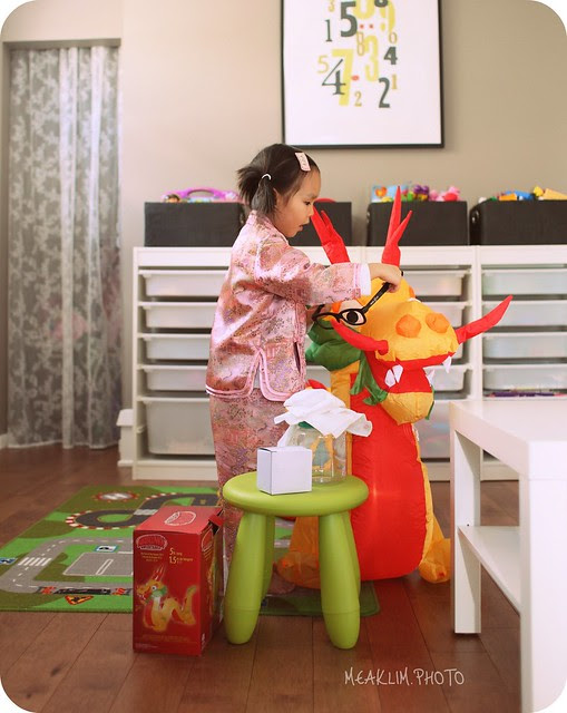 CNY - year of the dragon