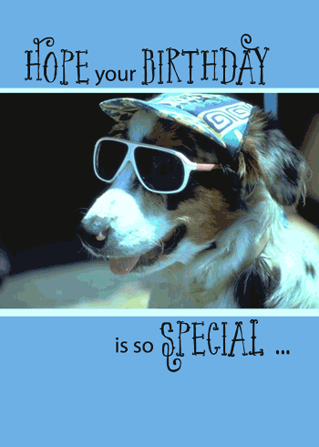 Funny Birthday Dog In Sunglasses. Free Pets eCards Greeting Cards 