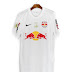 Red Bull Bragantino Camisa - Red Bull Shop Online Oficial Seja Parte Da Acao / Para felipão e os gremistas, o placar é péssimo.
