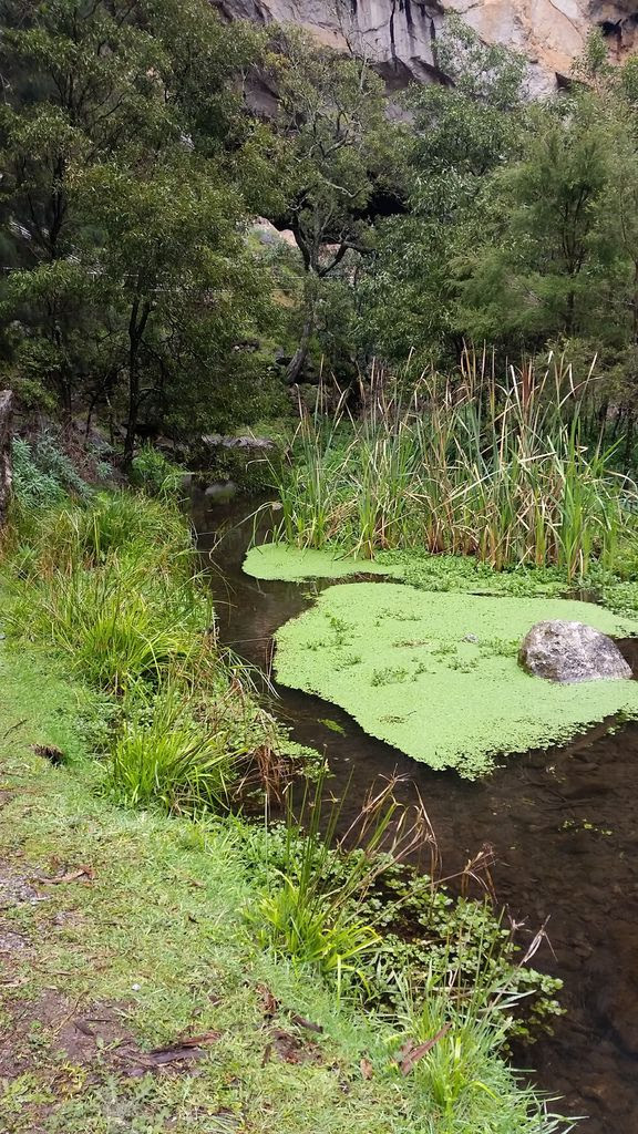 20140826_134117.jpg 20140826_134117.jpg