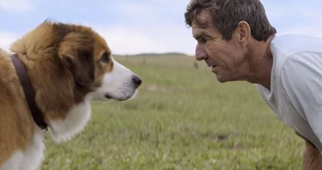 A Dog's Purpose