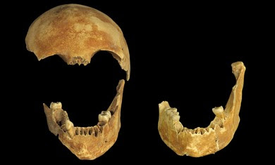 8,500-year-old skulls found in well. 