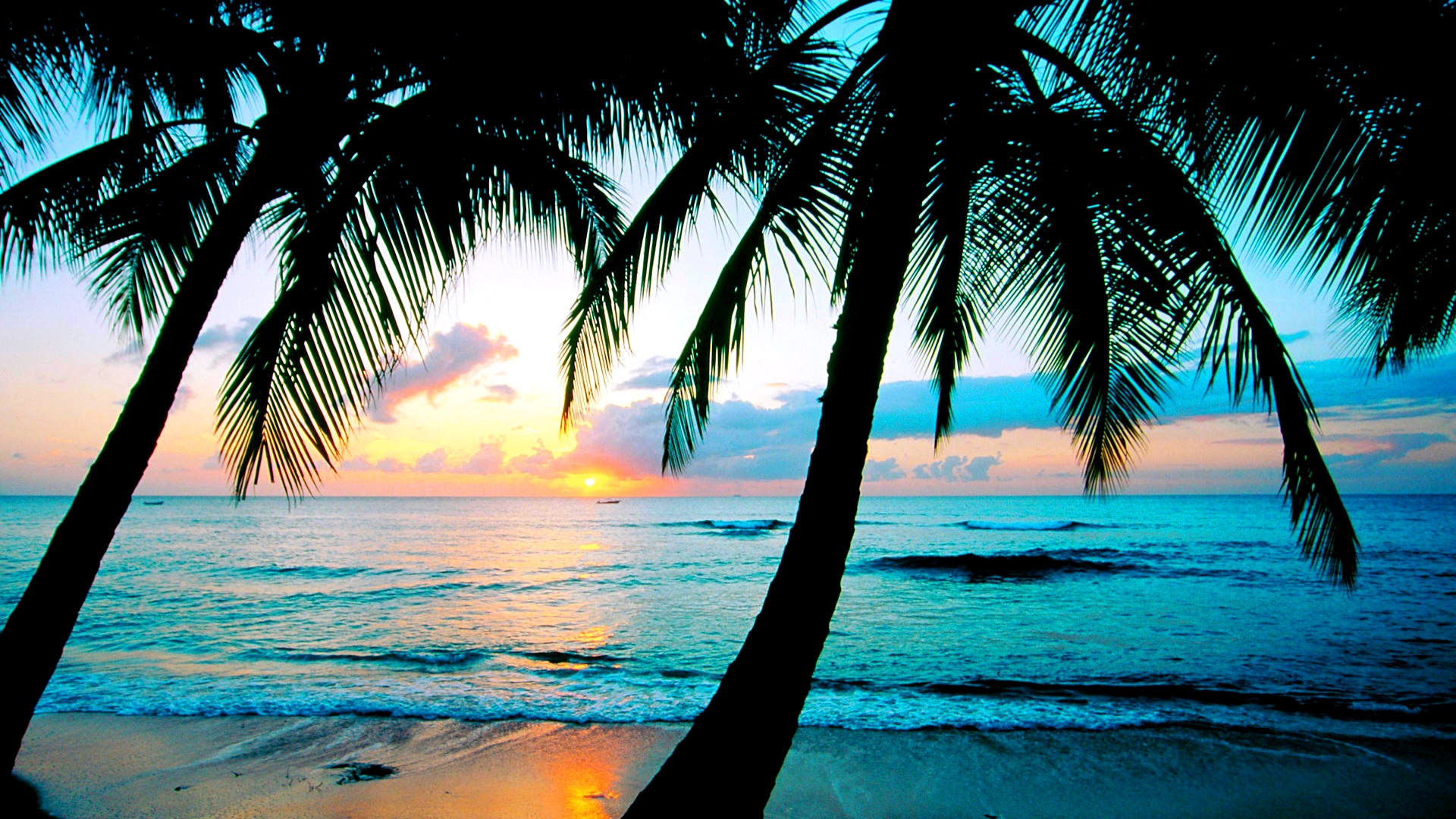 Microsoft Beach Desktop Wallpaper - WallpaperSafari