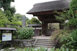 古都鎌倉でお迎えするペンション Greren Grass