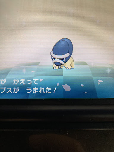 イメージ