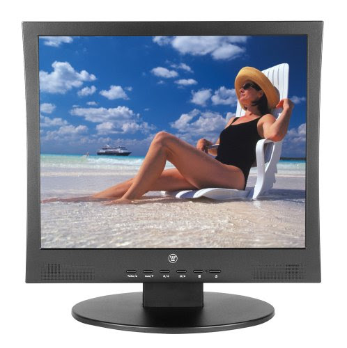 Westinghouse L1928NV 19 LCD Monitor (Black)