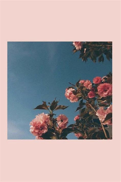 Gaara 1080p, 2k, 4k, 5k hd wallpapers free download, these wallpapers are free download. Cute Aesthetic For iPad Wallpapers - Wallpaper Cave