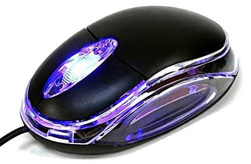 Image result for mouse