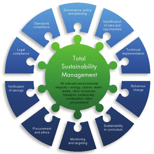 Environmental Sustainability Strategy Management Guru Management Guru
