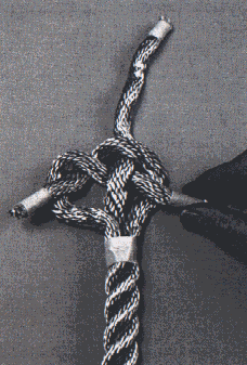 3 trand back splice