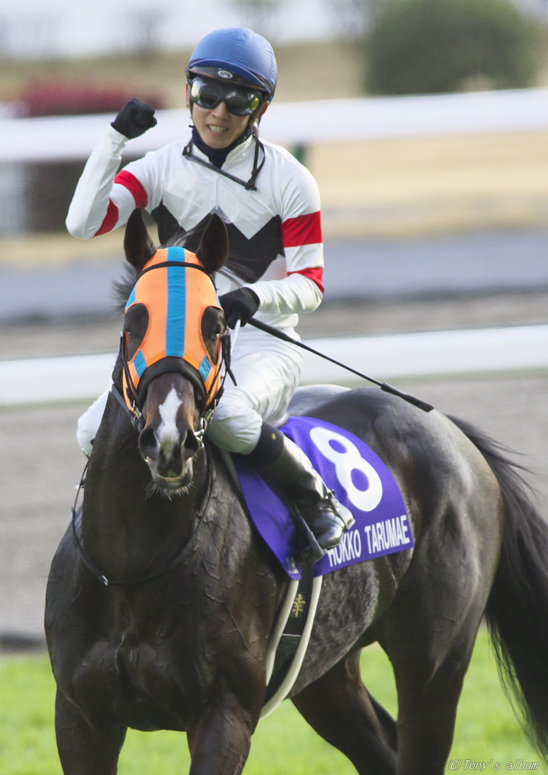 Tonyの競馬写真ブログ 第15回チャンピオンズカップ