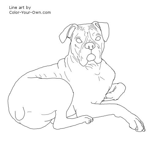 Download Boxer Dog Laying Down Coloring Page