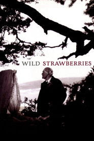 Wild Strawberries Film in Streaming Gratis in Italian