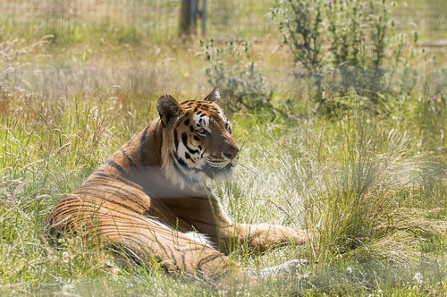 Flickriver: Most interesting photos from Noah's Ark Farm Zoo pool